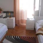 Apartment And Artemida Dubrovnik