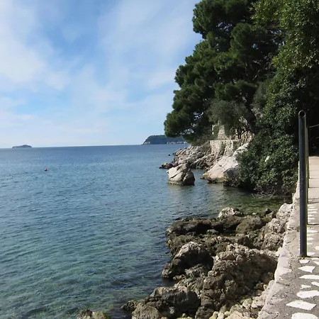 アパート And Artemida *