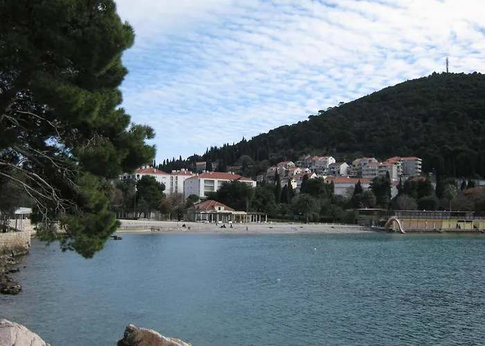 Apartman And Artemida